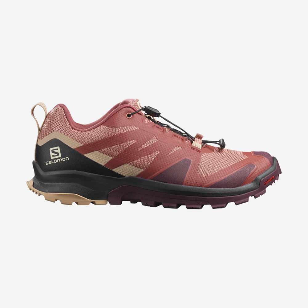 SALOMON XA ROGG Philippines - Women's Trail Running Shoes - Multicolor | 386401-XCG